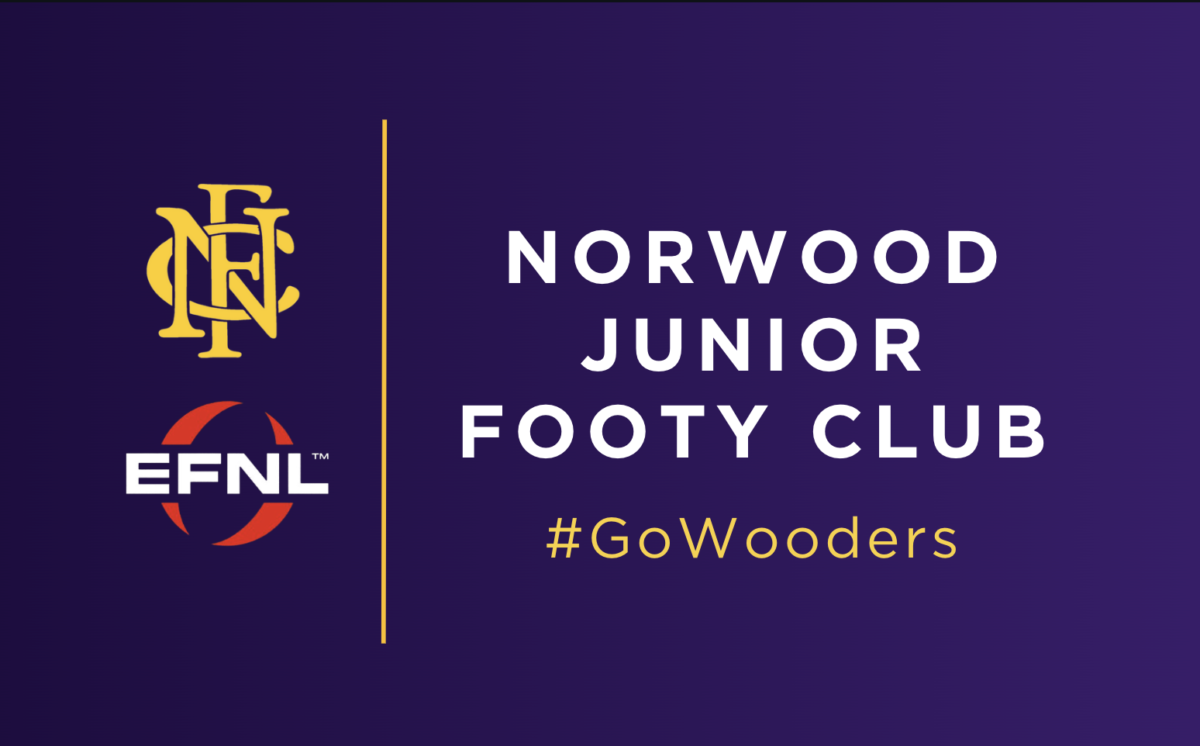 Norwood Junior Football Club Logo
